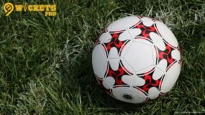 football betting tips | 9wickets