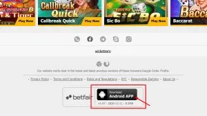 9wicket app download